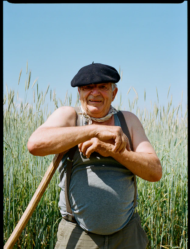 Vieille homme paysan dans les champs