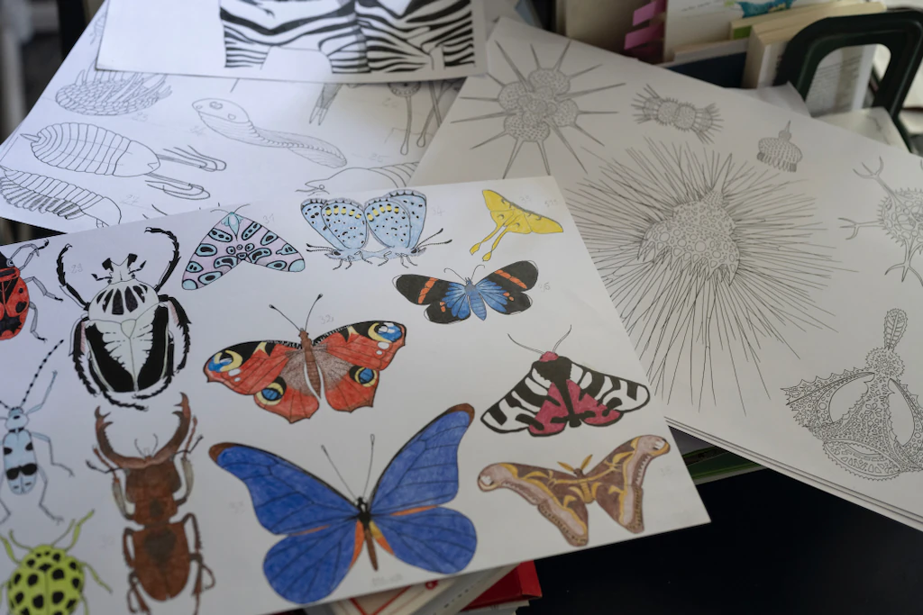 Dessins et croquis de papillons