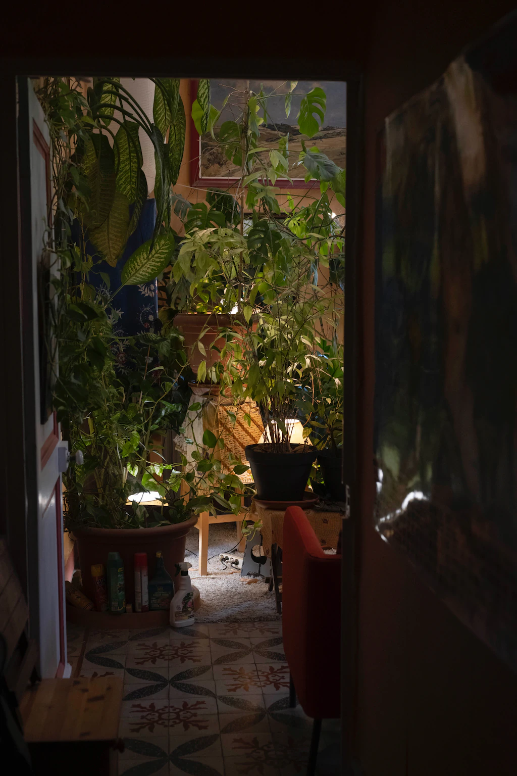 Intérieur d'une maison remplie de plantes