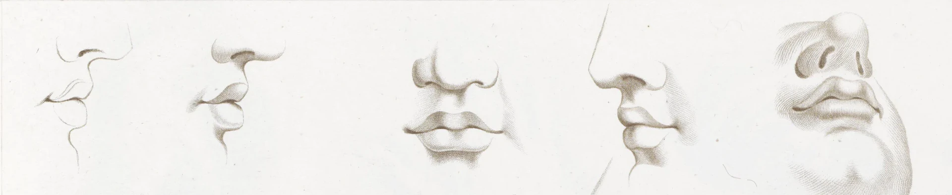 Bannière de dessins avec des nez