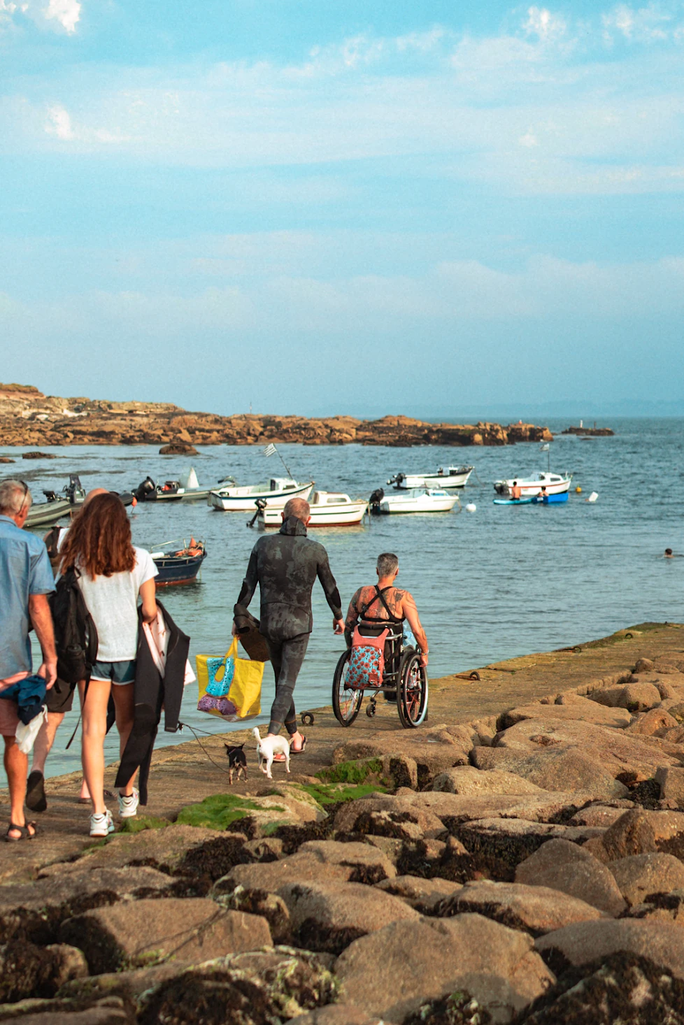 Femme en fauteuil roulant suivie par trois personnes et deux chiens au bord de l'eau