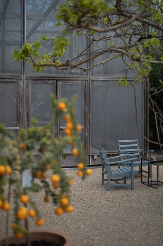 Oranger et chaises à la Chassagnette
