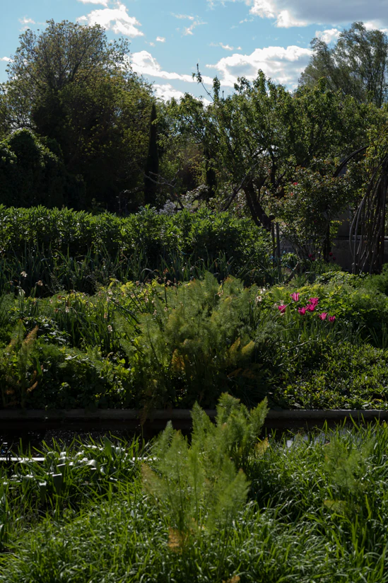 Paysage bucolique à la Chassagnette