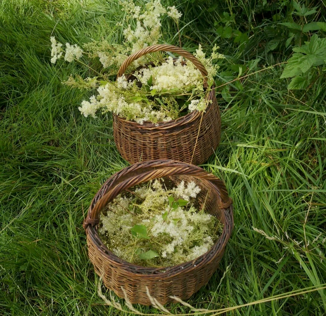 Deux paniers en osier posés dans l'herbe, débordant de fleurs blanches et mousseuses de reine-des-prés