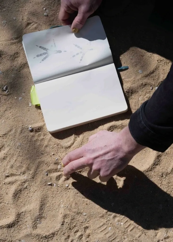 Thomas Baffault compare une empreinte d'oiseau avec un croquis sur son carnet