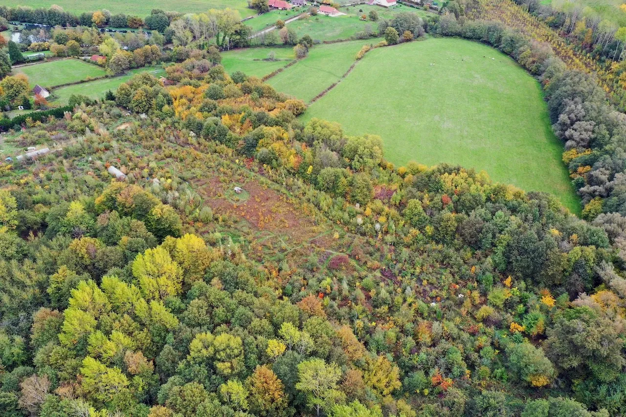 La forêt comestible de Fabrice Desjours vue du ciel