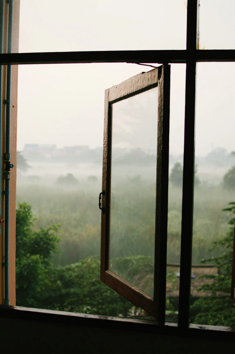 Fenêtre en bois ouverte donnant sur la jungle couverte de brume