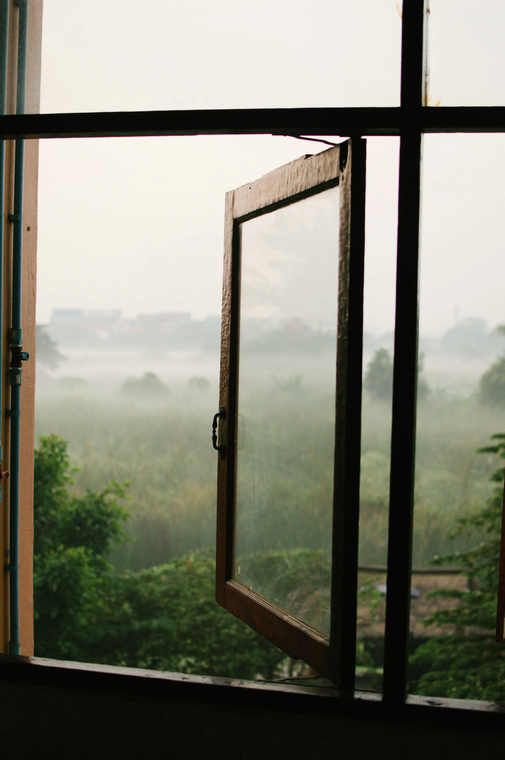 Fenêtre en bois ouverte donnant sur la jungle couverte de brume