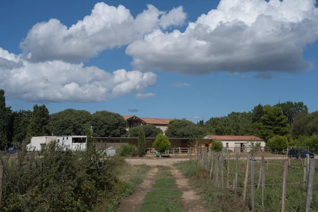 Jardin potager séparé par une allée centrale en herbe et terre
