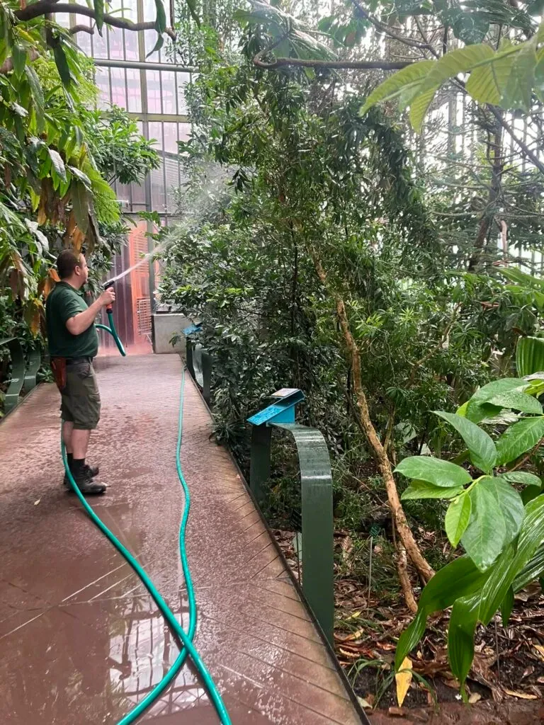 Jardinier arrose des plantes avec un jet d'eau dans une serre