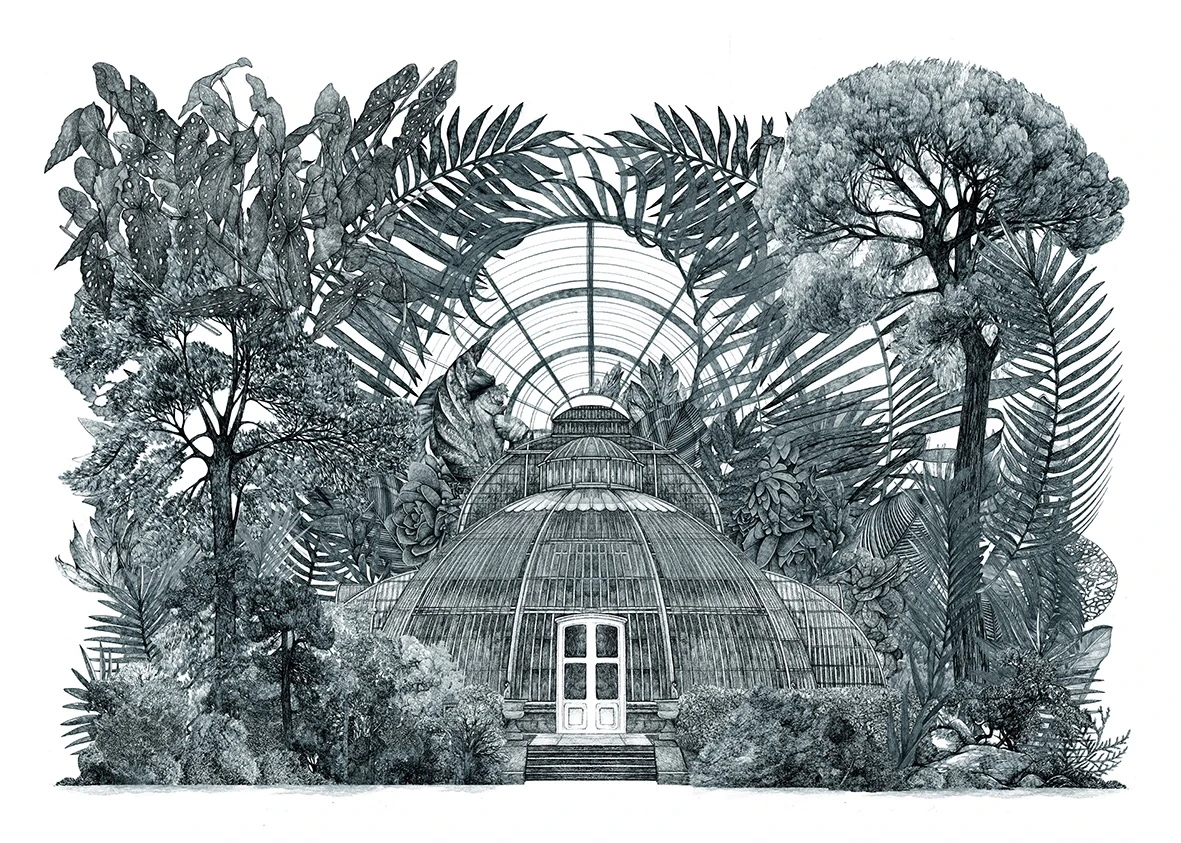 Dessin en noir et blanc de la serre victorienne Palm House de Kew Gardens, entourée d'arbres et de palmiers