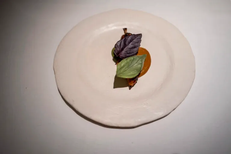 Plat de viande recouvert de deux feuille de basilique pourpre et verte.