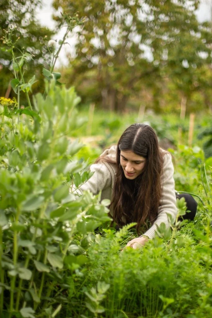 Jeune femme aux longs cheveux bruns, accroupie au milieu de fèves et de carottes, penchée vers la terre pour désherber