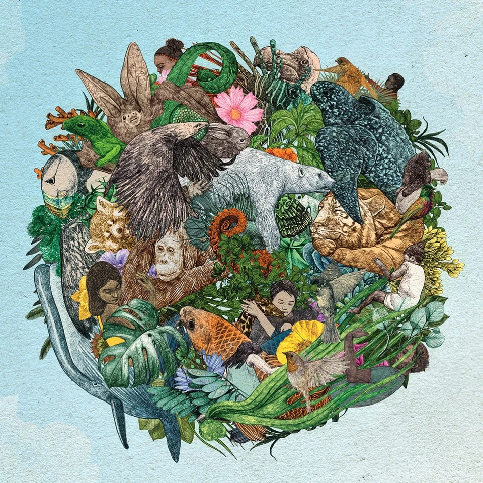 Illustration en forme de sphère rassemblant des dizaines d'animaux du monde entier — ours polaire, orang-outan, phoque, oiseaux — entremêlés de végétation dense