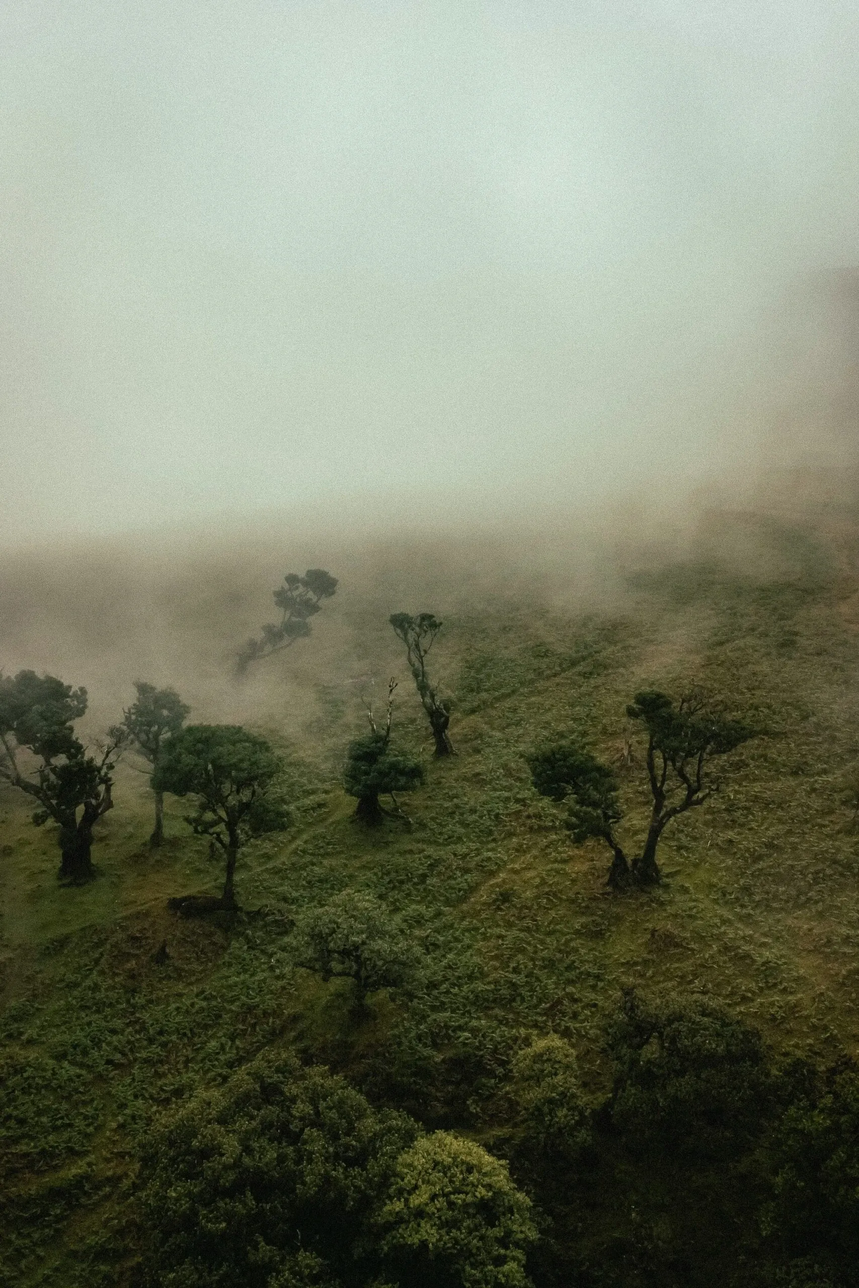 Paysage Chine