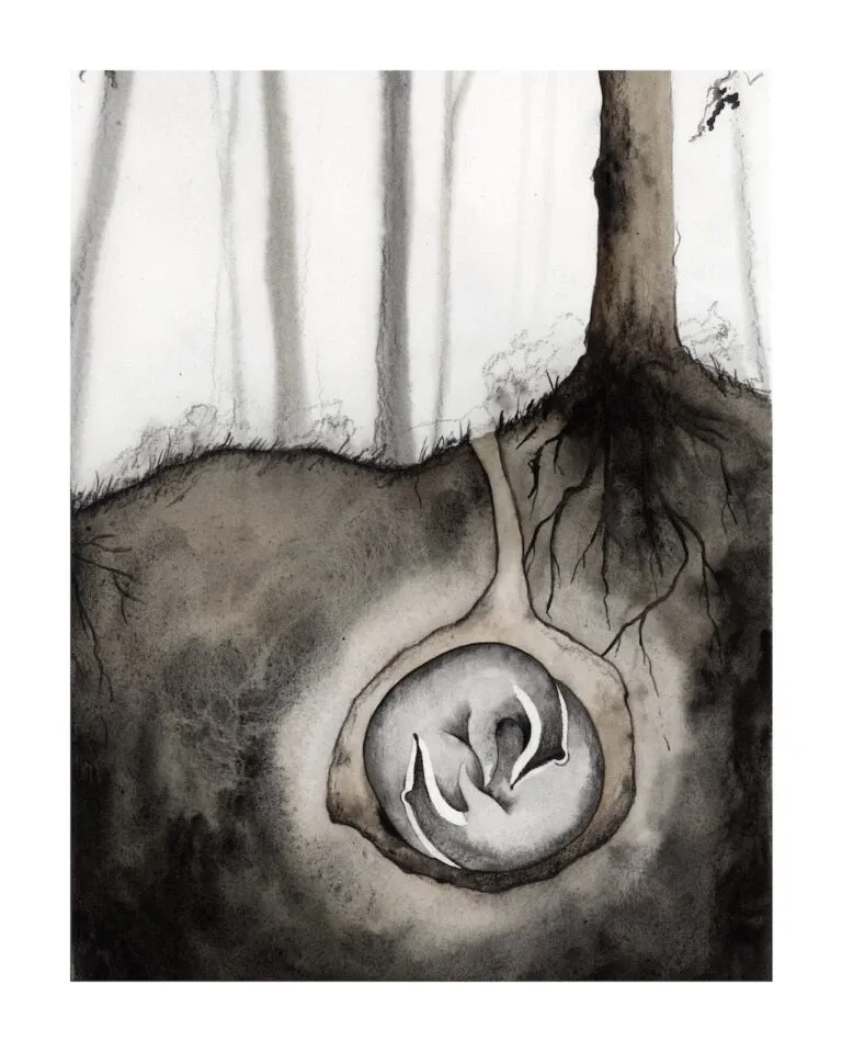 Dessin de Lauriane Miara d'un animal dans sont terrier