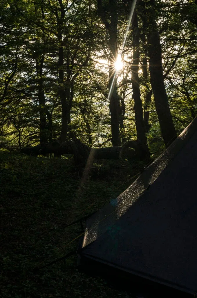 Tente dans la forêt au soleil levant