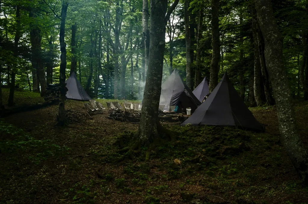 Tentes de bivouac dans une forêt